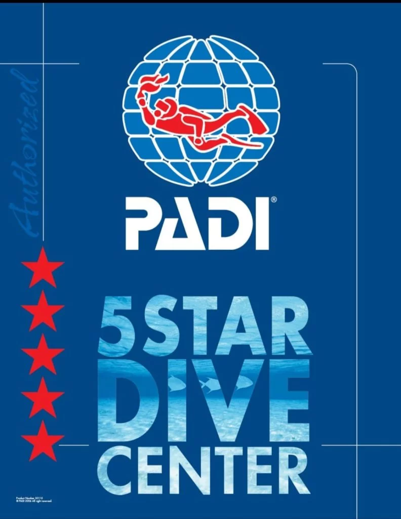 Padi-5star-resort-Deep-Ocean-blue-Diving-Center-792×1024
